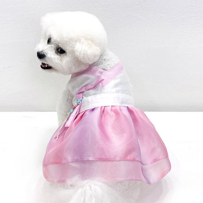 호나미네 고양이한복 강아지한복 수채화 노방 공주 한복, 핑크, 1개