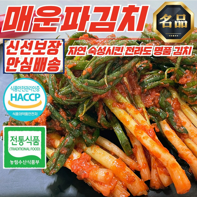 전라도 맛갈지고 화끈하게 매운 파김치 1kg
