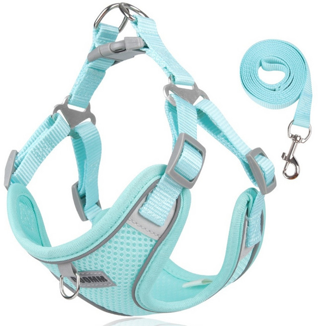 디아쿠아 야광 빛반사 메쉬 강아지 하네스 리드줄 세트, 민트