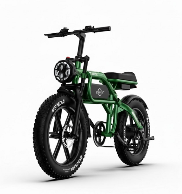 웨이라이드 자토바이 750W 광폭 KENDA 타이어 듀얼 서스펜션 전기자전거, 포레스트그린, 프리미엄 48V 20Ah (주행70km)