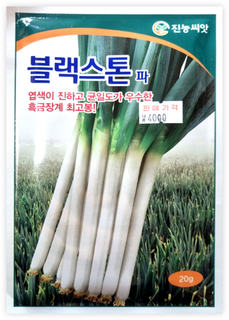 블랙스톤 파 20g 대파씨 진한엽색 우수한 균일도 흑금장계 최고봉 진농씨앗, 1개