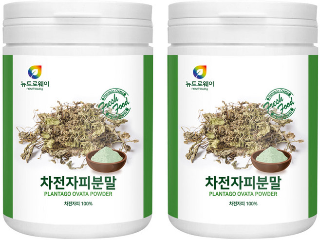 뉴트로웨이 차전자피분말2통(300g), 600g, 2개