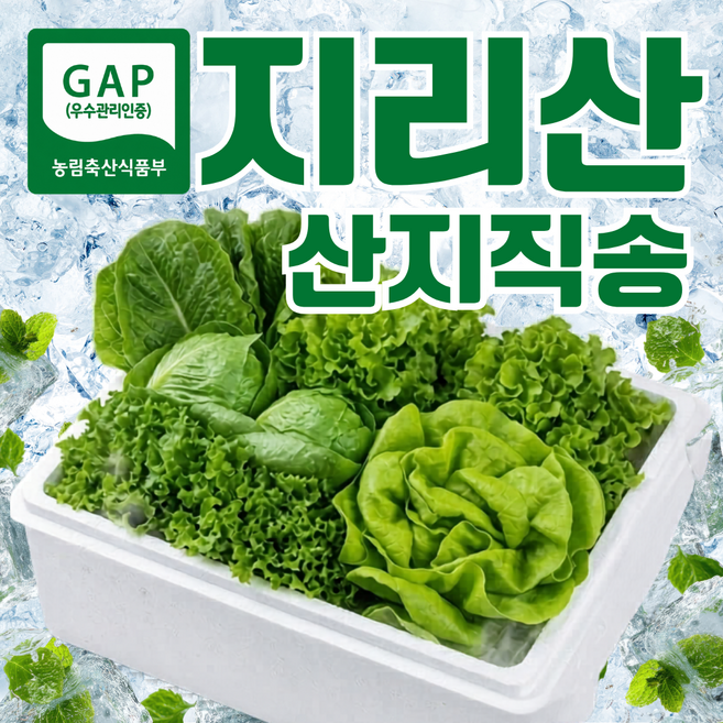 GAP인증 고냉지 유러피안샐러드 유럽상추 산지직송 Premium 로메인 버터헤드 프릴아이스 이퀄라 모둠쌈 쌈채소 샐러드 혼합구성, 1kg, 1개