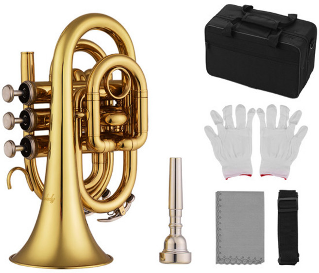 Muslady 미니 포켓 트럼펫 bb 플랫 브래스 경감 님이 마우스 피스 장갑과 바람 악기 청소 천을 운반 케이스, 01 금, 01 China Mainland