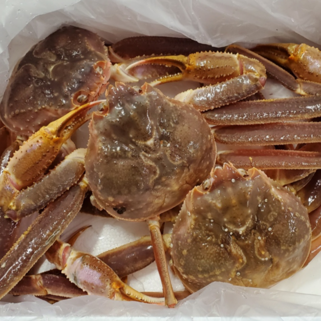 활대게 90% 수율보장 러시아산 박달대게, 1개, 5kg 내외