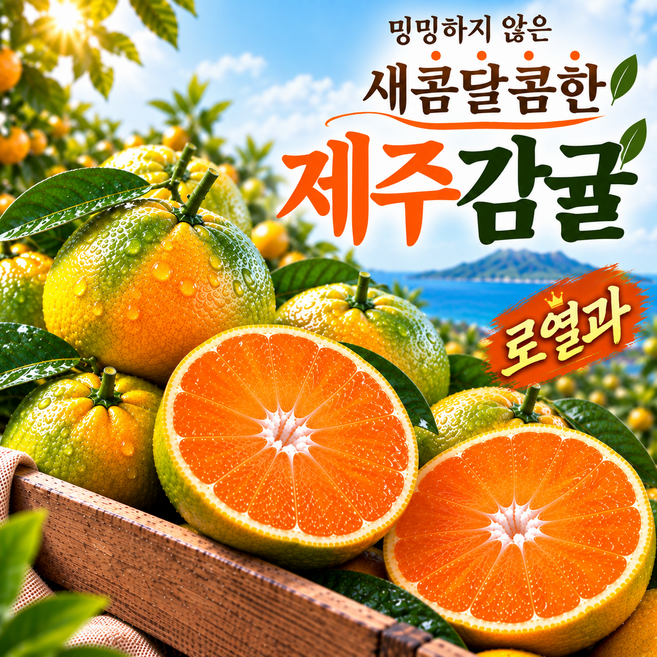 [시즌특가] 고당도 제주 극조생 노지 감귤 새코미 조생 귤, 1박스, 5kg(S~M)