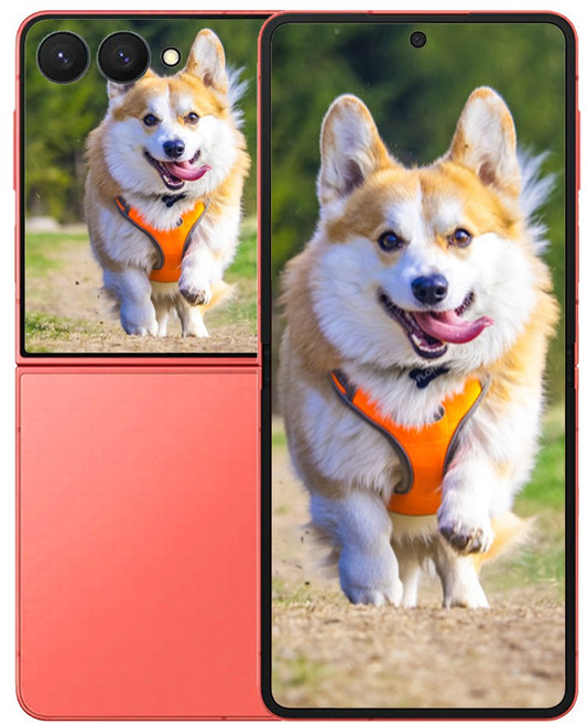 삼성전자 갤럭시 Z 플립7, 256GB, CoralRed (코랄레드)