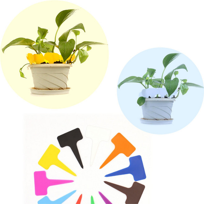 컬러 화분 나무 화초 채소 이름표 태그 꽂이픽 네임픽 가든픽 화분픽 팻말 푯말 라벨 네임택 주말농장, A, 레드