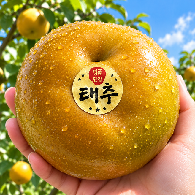 9위 - [하루딱30박스] 18Brix 고당도 경남 태추단감, 1박스, 5kg