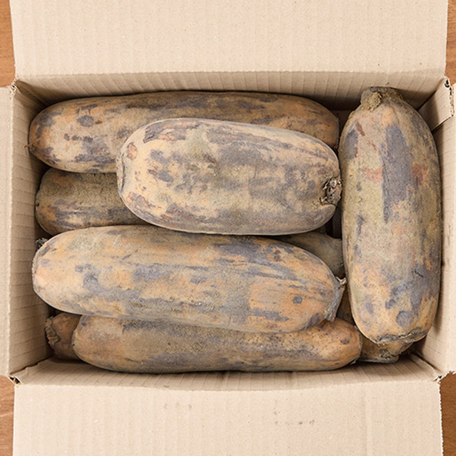 국산 연근 생 흙연근 특품 2kg 3kg 5kg, 1개, 연근 가정용 1kg(암/수 혼합)