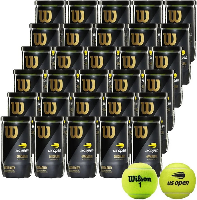 윌슨 WILSON US OPEN EXTRA DUTY 30캔 60개입