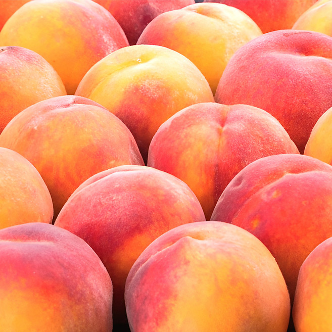 [초특가 핫딜] 딱 2주만 말랑이 복숭아 당도선별, 1개, 4kg