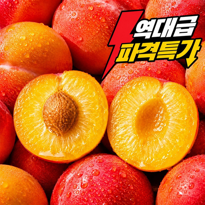 [역대급파격특가] 고당도 산지직송 제철 자두, 1박스, 1kg (S~M)
