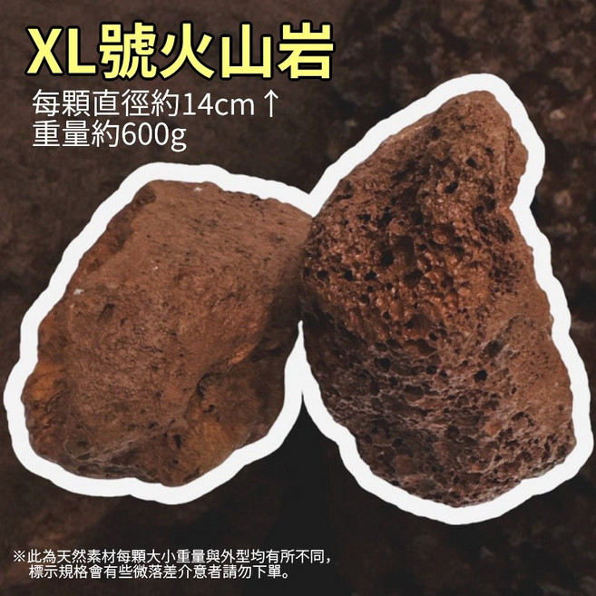 林・作物 火山石 水族濾材 園藝造景 紅色火山岩 XL號 2顆入 穩定水質 培菌底砂, 1個, XL號-2顆入(每顆直徑13-16cm)