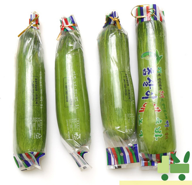 사라상회 인큐 애호박 5개 (상), 1박스, 1Kg