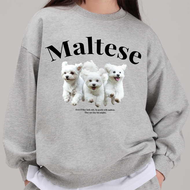 국내 생산 마고 주니어 말티즈 프린트 맨투맨 스웨트 셔츠 키 120 130 140 150 160~