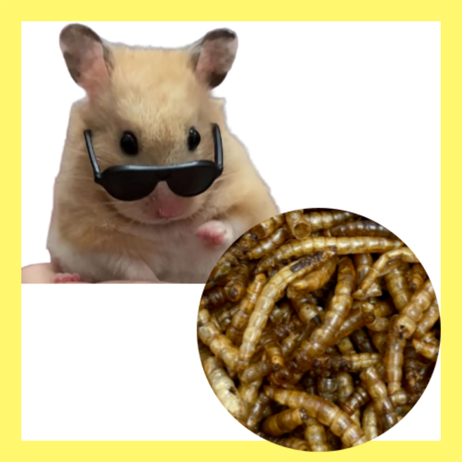 햄스터 마우스 건조 밀웜 간식 앵무새 골든햄스터 기니피그 고슴도치 슈가글라이더 피그미, 10g, 1세트