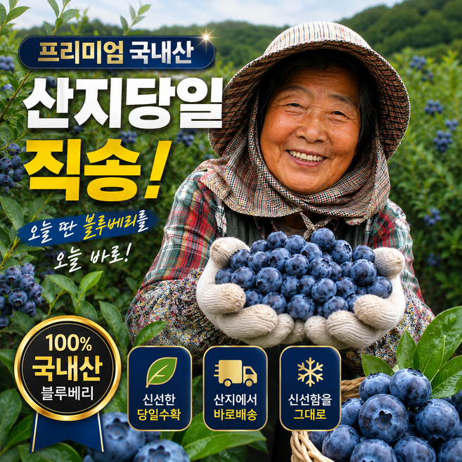 [산지직배송] 친환경 국내산 생 블루베리, 1박스, 100g (중-14mm)