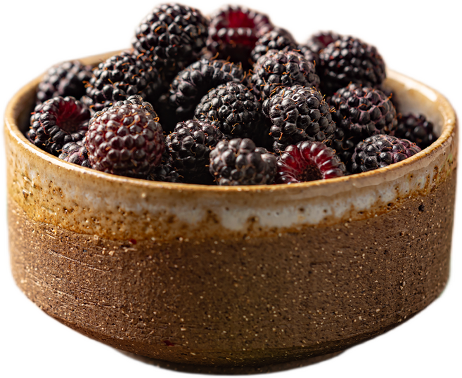 [팔톤상회] 베리류의 왕 토종 복분자 특품 (급냉), 1개, 2.5kg