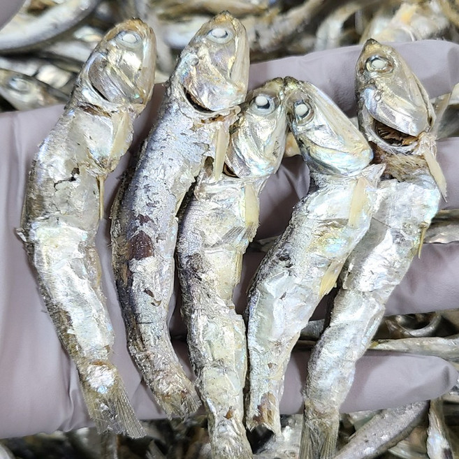 국내산(통영멸치) 다시멸치 국물멸치 왕대멸치1.5kg, 1개