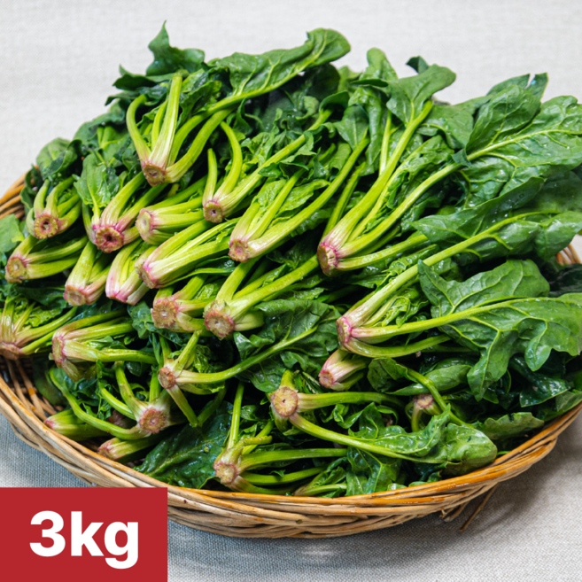 [여수 청년농부] 당일제조 국내산 여수 시금치, 1개, 3kg