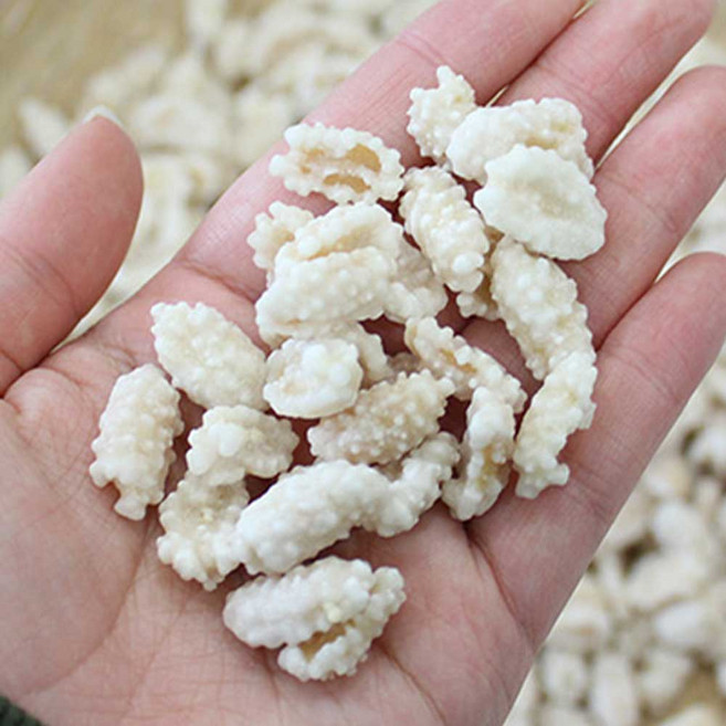 고소한 우유맛 땅콩 1kg 안주 커피 찹쌀 볶음 꿀 땅콩