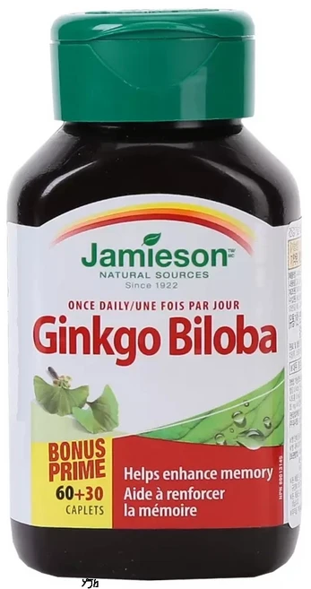 자미에슨 징코빌로바 은행나무잎추출물, 90정, 1개 - 쿠팡