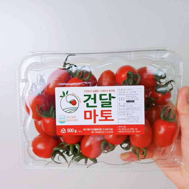 [설탕 무첨가] 스테비아 건달마토 천연 단맛 고당도 다이어트 간식 500g, 1박스, 1kg