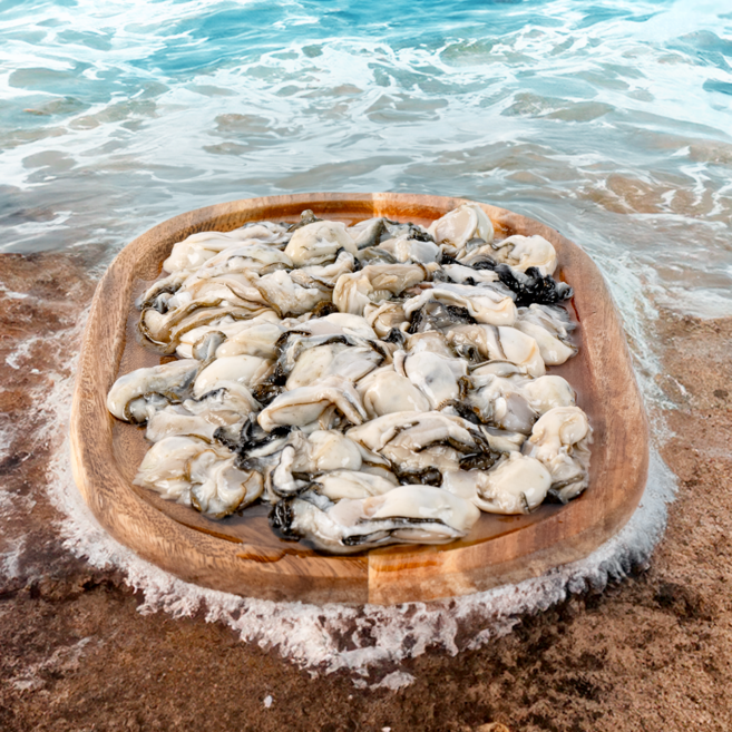 통영 굴 제철 최상급 깐굴 생굴 1kg, 1개