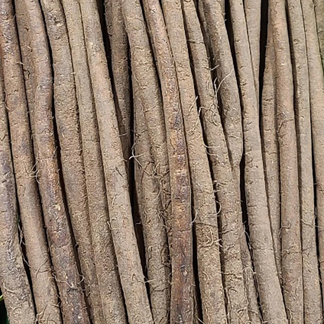 맛이깊은국내산 안동 우엉 생우엉 차 반찬용, 1세트, 1kg (상) - 쿠팡