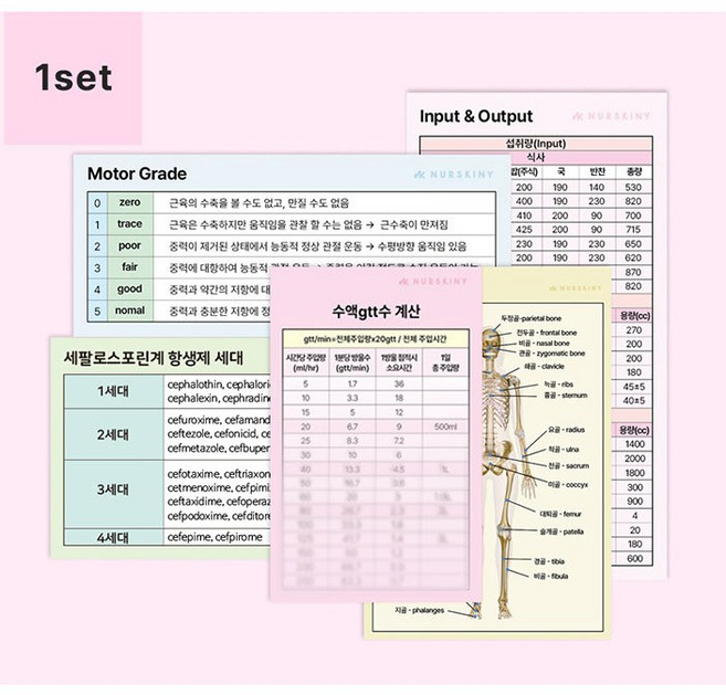 너스키니 간호 지식 스티커 40종 간호사 준비물 널스용품 간호용품 간호사용품, 세트VER.1(5종)