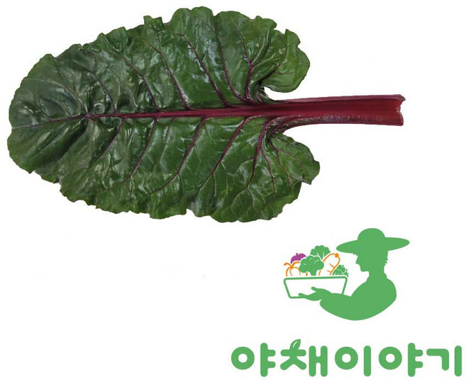 야채이야기 싱싱한 적근대 2kg (1.8kg - 2kg) 쌈채소, 1박스