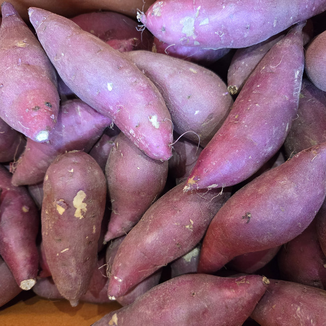 고구마 꿀고구마 베니하루카, 1박스, 5kg내외(긴하)