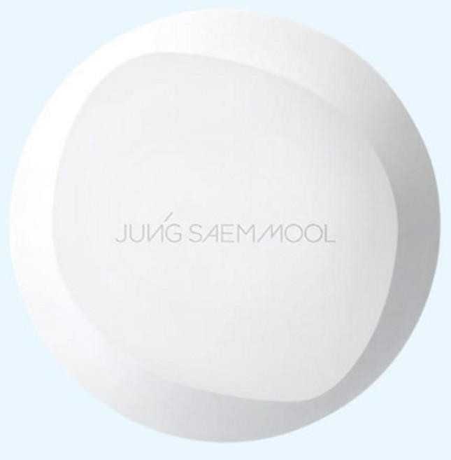 정샘물 프로래스팅 결핏 메쉬 쿠션, 21 엔라이트, 1개