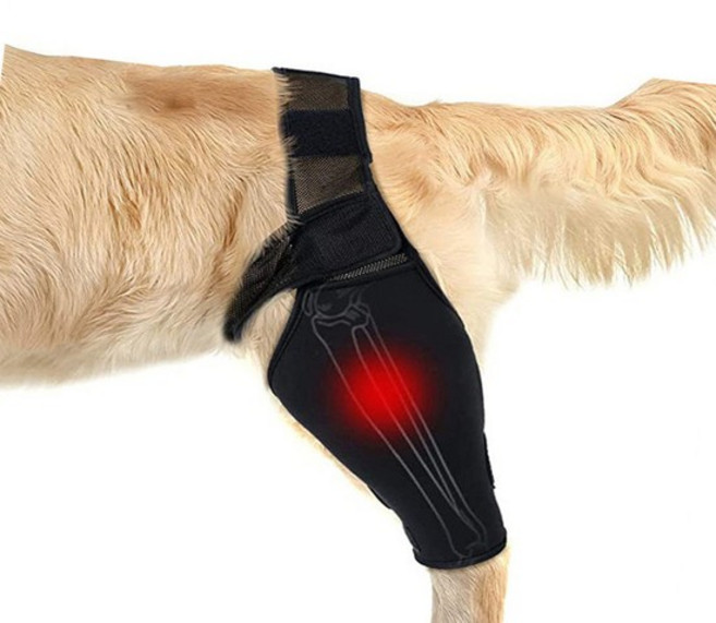 강아지 슬개골 보호대 탈구 앞다리떨림 다리 관절 보호대 뒷다리 십자인대 보조기, 보호대형, S