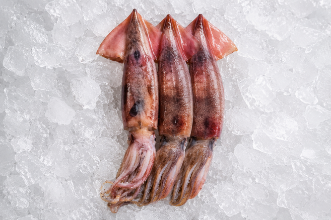 국내산 태안 통찜 오징어 신진도 급냉 냉동, 1개, 3미(600g)내외