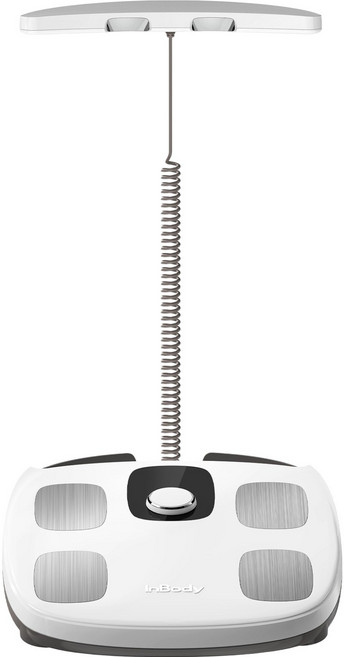 인바디 블루투스 다이얼, H30N, 혼합색상, 1개