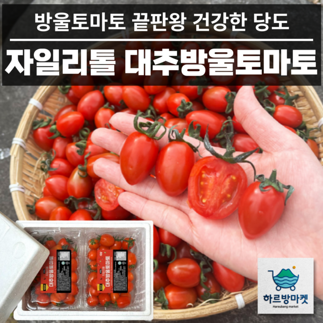 [프리미엄] 신품종 고당도 자일리톨 대추방울토마토, 1개, 1kg (망고향)