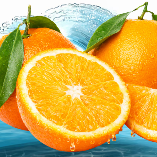 [25년완판신화] 벌꿀brix 과즙폭발 제주 카라향, 1박스, 10Kg