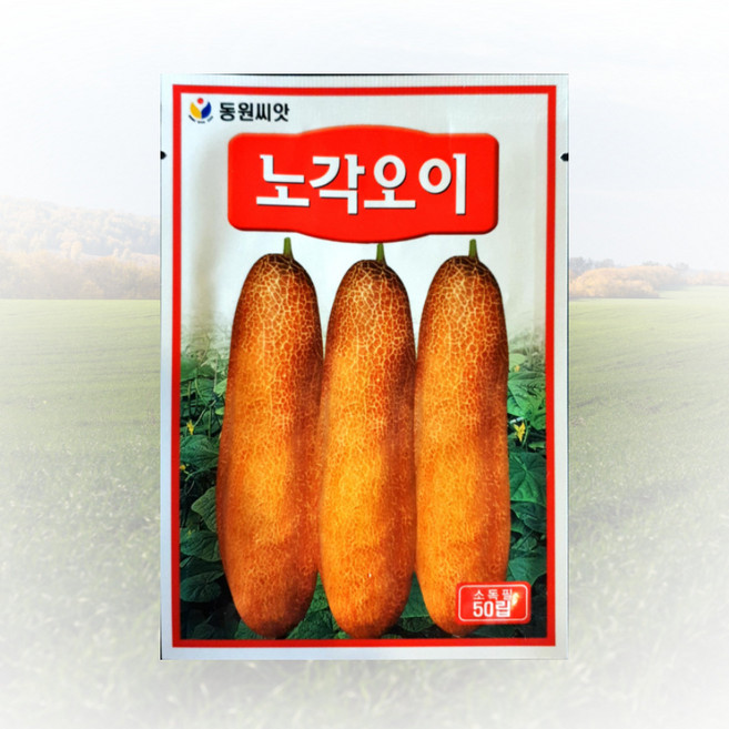 동원 노각오이 씨앗 50립 동원 씨 종자, 1개