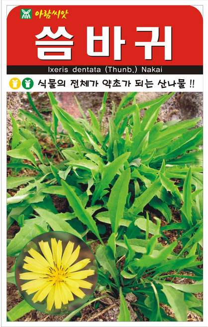 저스틴앤클로이 씀바귀100립 채소산채, 2개