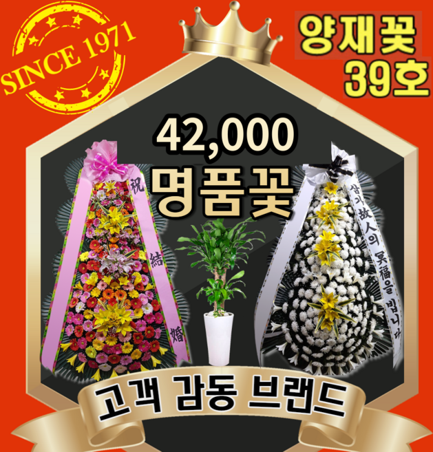 양재꽃39호 근조 장례식조화 결혼식 축하 3단화환 개업화분 인테리어 이사 공기정화식물 생일 어버이날 스승의날 꽃바구니 기념일 꽃다발 승진난 동양난 서양난 전국당일배송 꽃배달싼곳, [화분] 03 산세베리아 테이블(도시지역 한정)