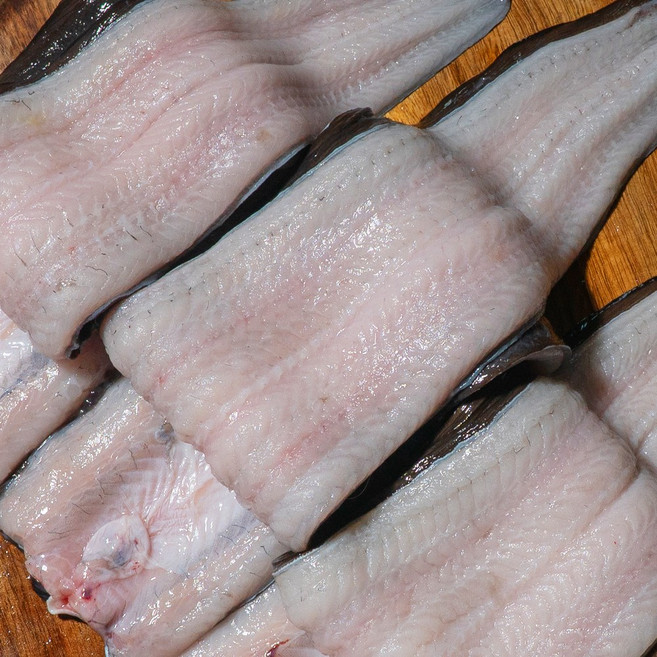 2026 햇 고창 자포니카 풍천 장어 1kg, 1세트, 민물장어 1kg(손질후600g)