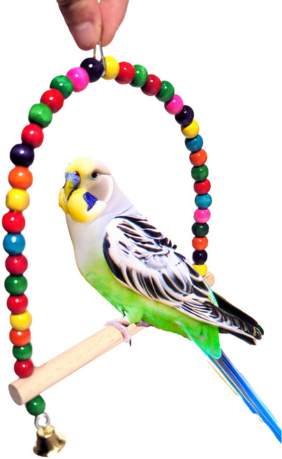 무핑 앵무새 장난감 구슬그네 스윙행어 사다리 놀이 운동 놀이터, 1개, 대형