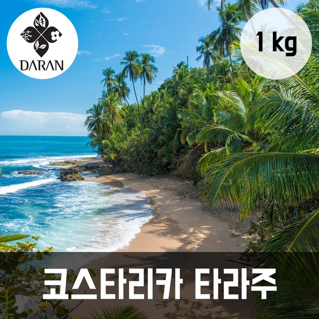 다란 코스타리카 따라주 원두 커피 1kg 로스팅 출고 갓 볶은 커피, 굵게 더치, 1개