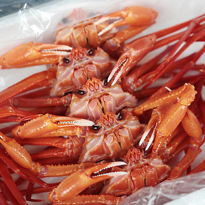 [담이수산] 구룡포 연지홍게 수율 90%내외 프리미엄 당일조업 산지직송 고급형 10미내외 1박스 3kg, 1개, A급 프리미엄 3k (10미내외)