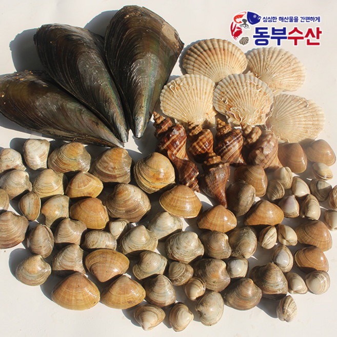조개세트 2kg 4kg 조개구이 조개모듬 캠핑조개, 1개, 알찬조개세트