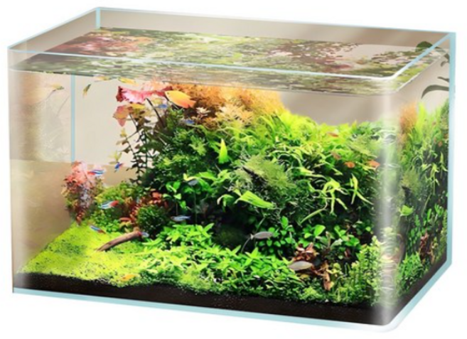 수아쿠아 타나 라운드 미니 오픈 수조, ALL CLEAR, 3개