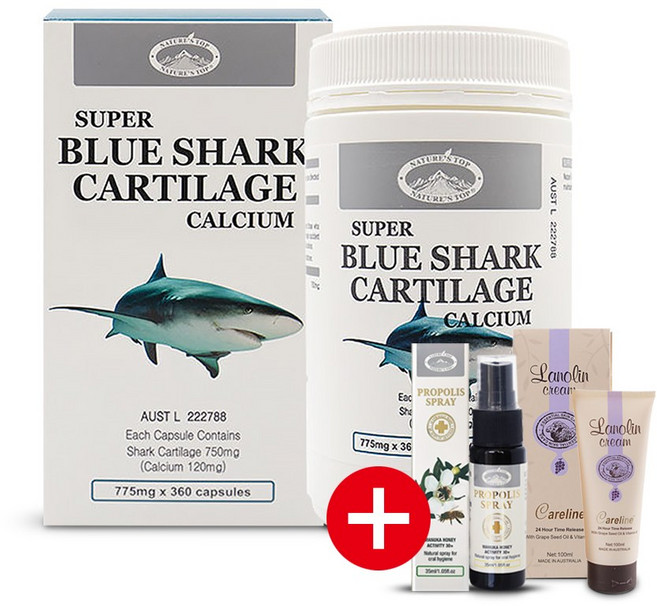 네이쳐스탑 상어연골 775mg 칼슐 360캡슐 순수 상어 연골 호주 슈퍼 블루 청상어, 1개, 360정