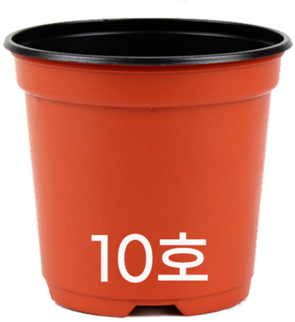 모두다 모종포트 육묘화분 삽목화분 이색포트 10cm 국내제조, 이색포트(적색), 100개